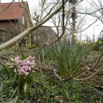 29 maart 2018
